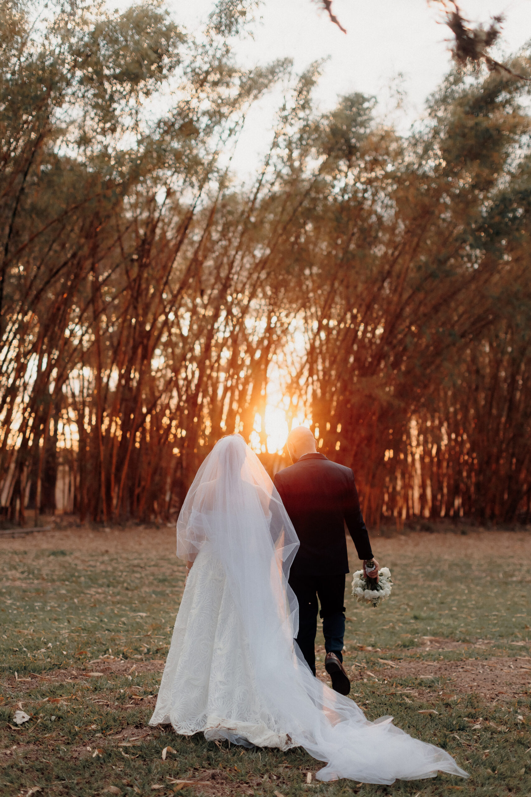 TakeSelf (36 de 195)